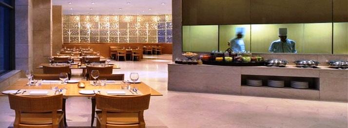 431/Radisson Blu Hotel Dwarka - New Delhi 09.jpg